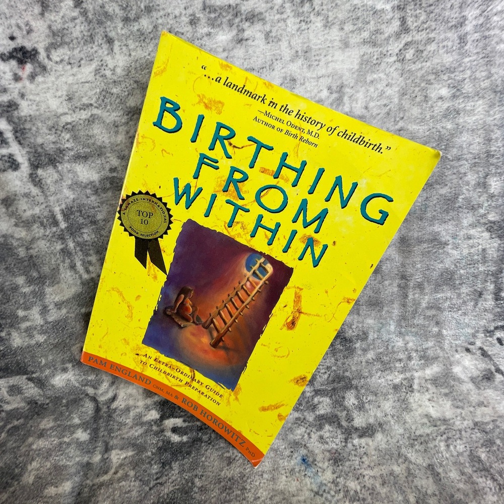 Birthing From Within Pam England Childbirth Guide‎ Partera Press Paperback